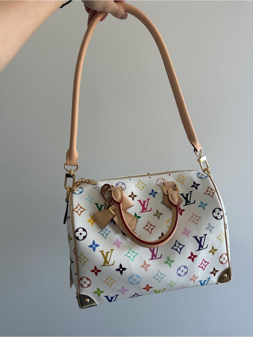 Louis Vuitton LV X TM Monogram Multicolor Speedy Bandouliere 25 Takashi Murakami
